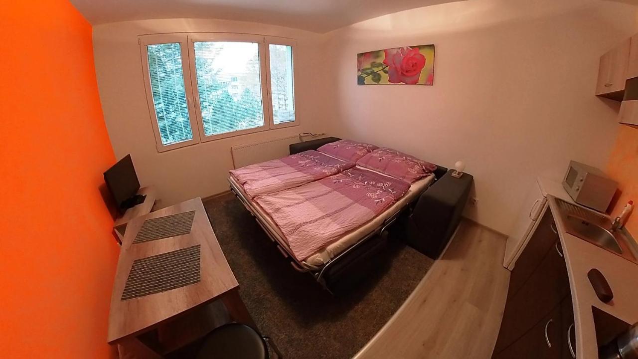 Garsonka Hlinik Apartment Trebon Exterior photo